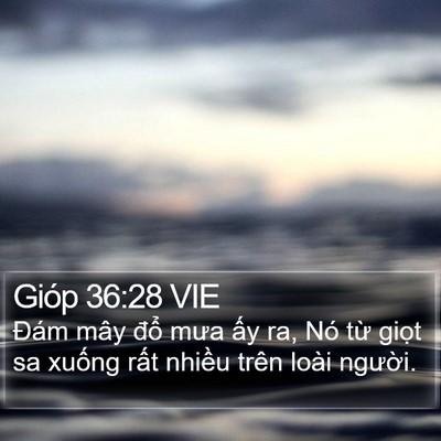 Gióp 36:28 VIE Bible Verse Image