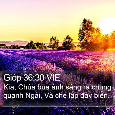 Gióp 36:30 VIE Bible Verse Image