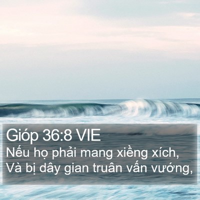 Gióp 36:8 VIE Bible Verse Image