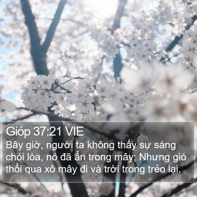 Gióp 37:21 VIE Bible Verse Image