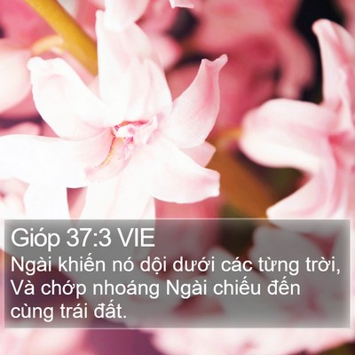 Gióp 37:3 VIE Bible Verse Image