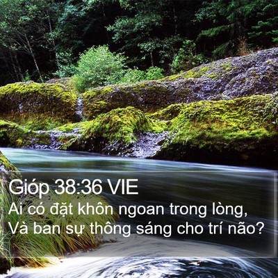 Gióp 38:36 VIE Bible Verse Image