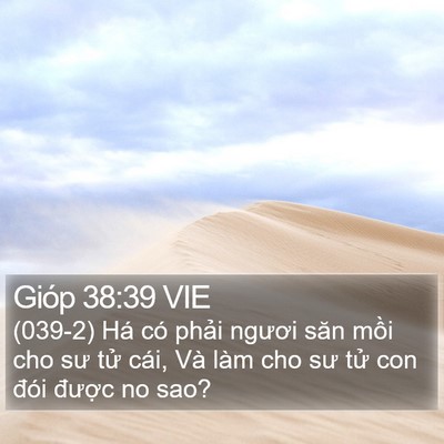 Gióp 38:39 VIE Bible Verse Image