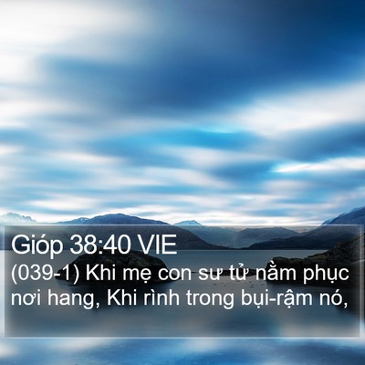 Gióp 38:40 VIE Bible Verse Image