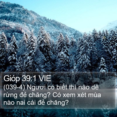 Gióp 39:1 VIE Bible Verse Image
