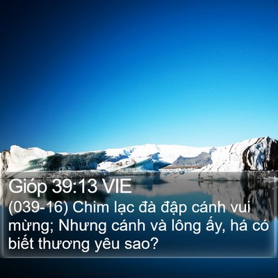 Gióp 39:13 VIE Bible Verse Image