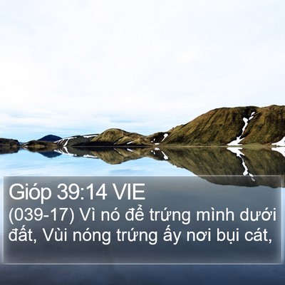 Gióp 39:14 VIE Bible Verse Image