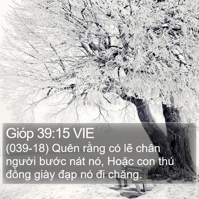 Gióp 39:15 VIE Bible Verse Image