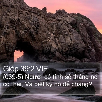 Gióp 39:2 VIE Bible Verse Image