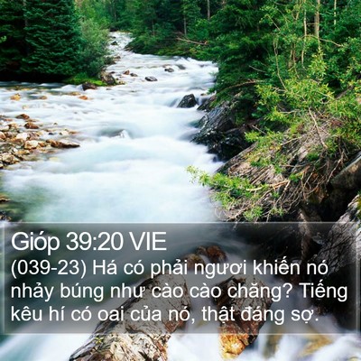 Gióp 39:20 VIE Bible Verse Image