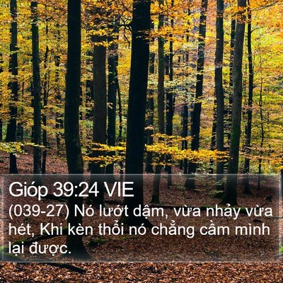 Gióp 39:24 VIE Bible Verse Image