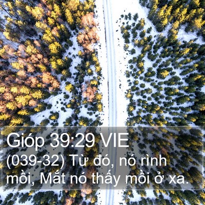 Gióp 39:29 VIE Bible Verse Image
