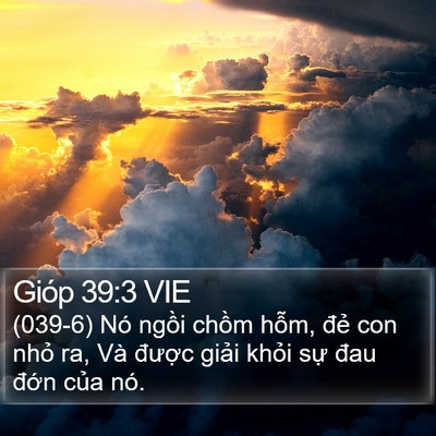 Gióp 39:3 VIE Bible Verse Image