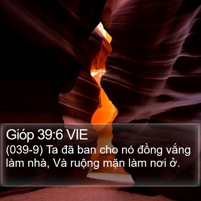 Gióp 39:6 VIE Bible Verse Image