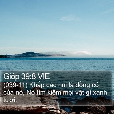 Gióp 39:8 VIE Bible Verse Image