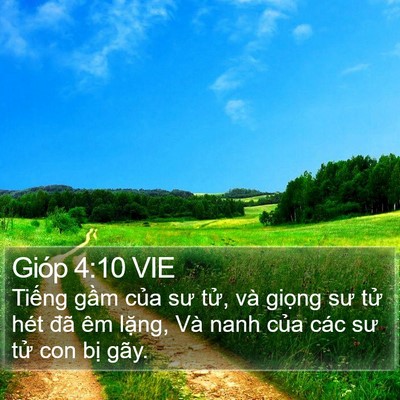 Gióp 4:10 VIE Bible Verse Image