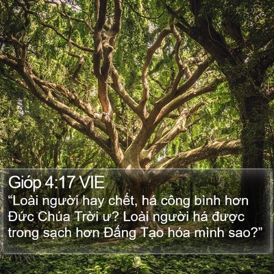 Gióp 4:17 VIE Bible Verse Image