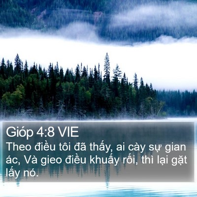Gióp 4:8 VIE Bible Verse Image