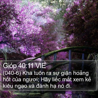 Gióp 40:11 VIE Bible Verse Image