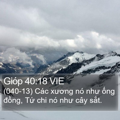 Gióp 40:18 VIE Bible Verse Image