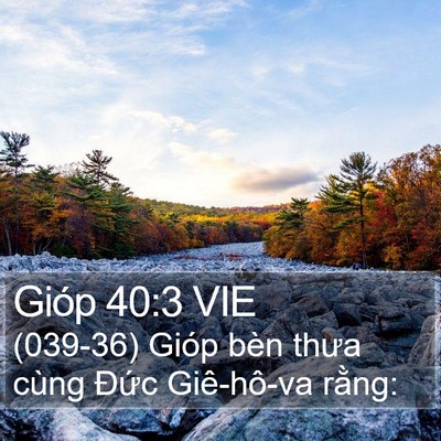 Gióp 40:3 VIE Bible Verse Image