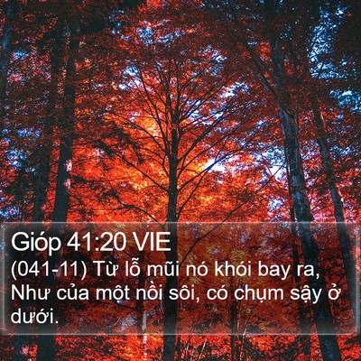 Gióp 41:20 VIE Bible Verse Image