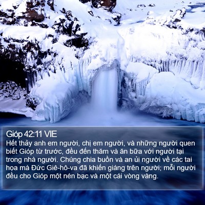 Gióp 42:11 VIE Bible Verse Image