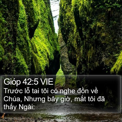 Gióp 42:5 VIE Bible Verse Image