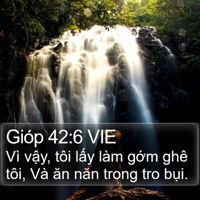 Gióp 42:6 VIE Bible Verse Image