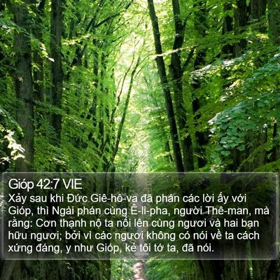 Gióp 42:7 VIE Bible Verse Image