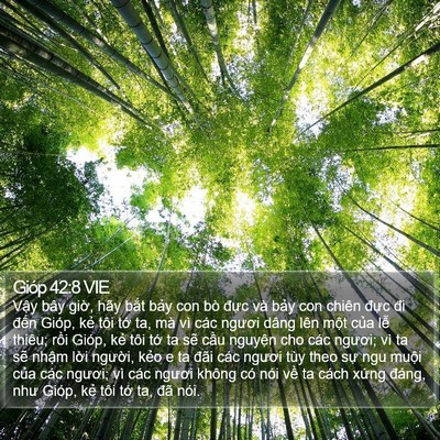 Gióp 42:8 VIE Bible Verse Image