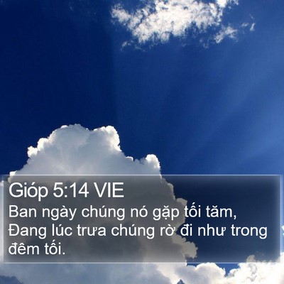 Gióp 5:14 VIE Bible Verse Image
