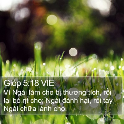 Gióp 5:18 VIE Bible Verse Image