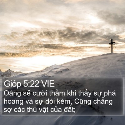 Gióp 5:22 VIE Bible Verse Image
