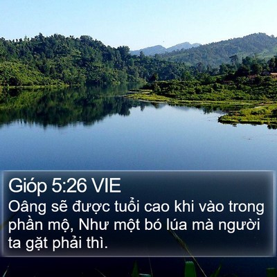 Gióp 5:26 VIE Bible Verse Image