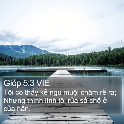 Gióp 5:3 VIE Bible Verse Image