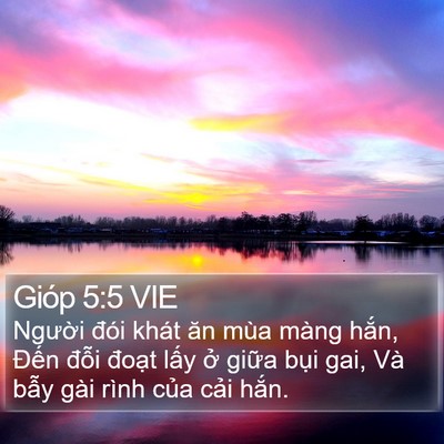 Gióp 5:5 VIE Bible Verse Image