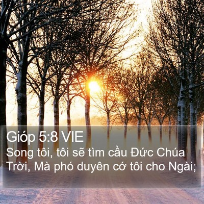 Gióp 5:8 VIE Bible Verse Image