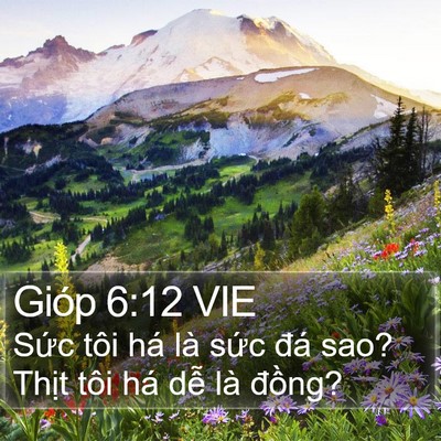 Gióp 6:12 VIE Bible Verse Image