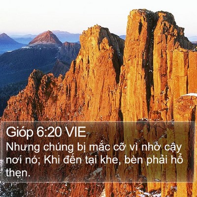 Gióp 6:20 VIE Bible Verse Image