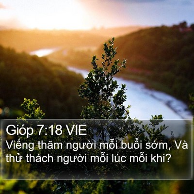 Gióp 7:18 VIE Bible Verse Image