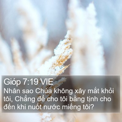 Gióp 7:19 VIE Bible Verse Image