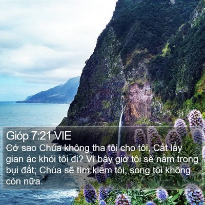 Gióp 7:21 VIE Bible Verse Image