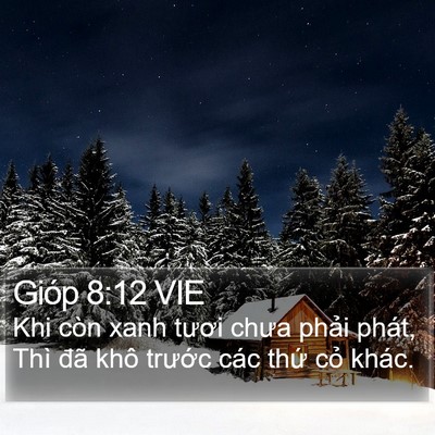 Gióp 8:12 VIE Bible Verse Image