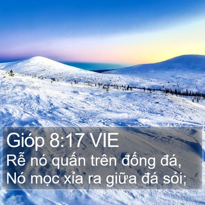 Gióp 8:17 VIE Bible Verse Image