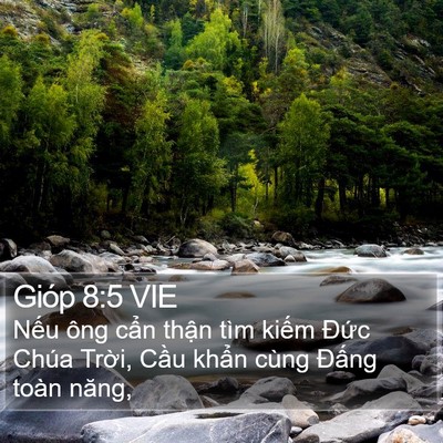 Gióp 8:5 VIE Bible Verse Image