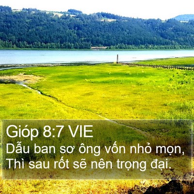 Gióp 8:7 VIE Bible Verse Image