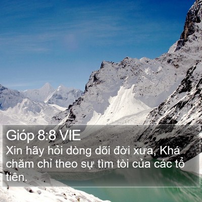 Gióp 8:8 VIE Bible Verse Image