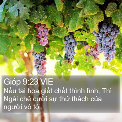 Gióp 9:23 VIE Bible Verse Image