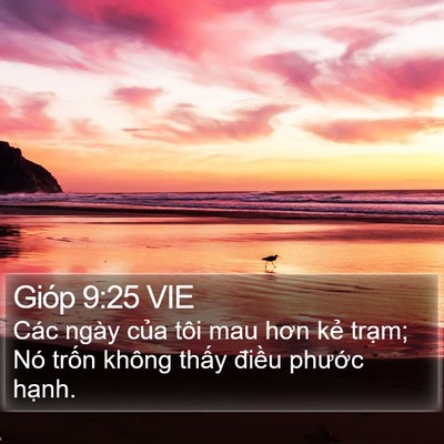 Gióp 9:25 VIE Bible Verse Image